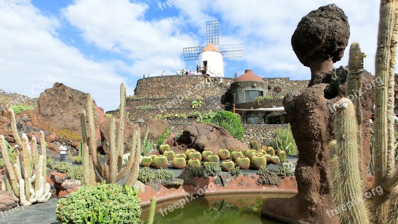 Lanzarote Jardin De Cactus Gofiomuehle Free Photos