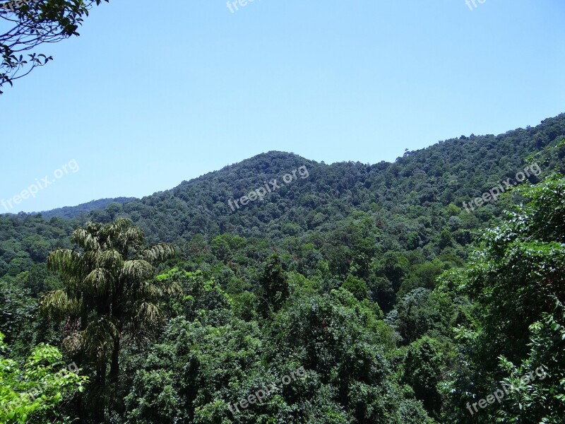 Western Ghats Mountains Dense Forest Evergreen Forest