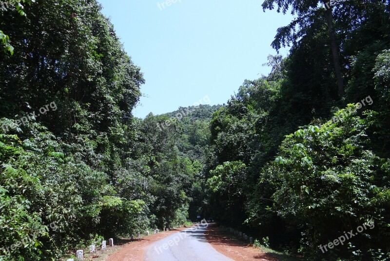 Forest Evergreen Dense Western Ghats Mountains