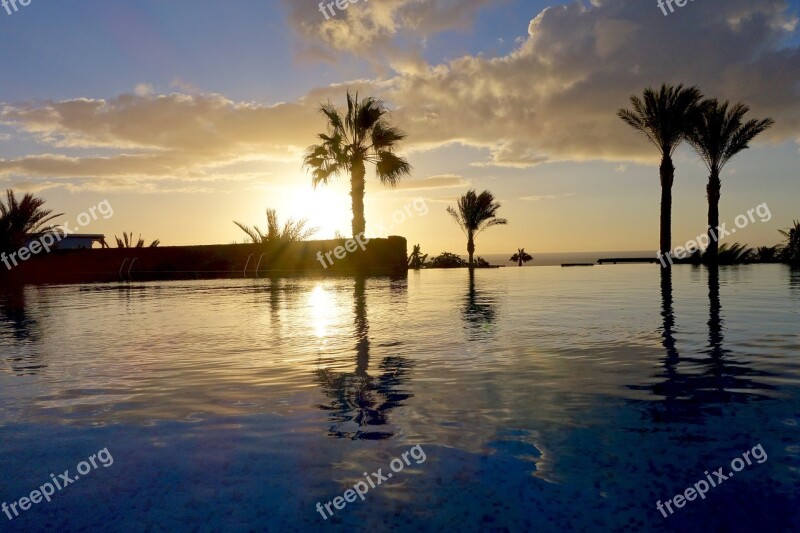 Palm Trees Pool Vacations Hotel Mood