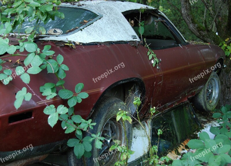 Car Cemetery Old Weathered Discarded Useless