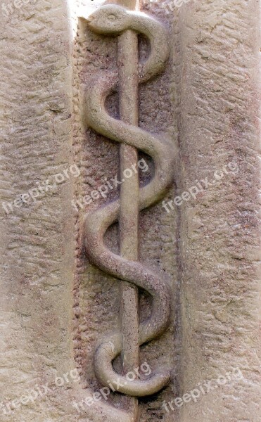 Relief Symbol Rod Snake äskulapstab