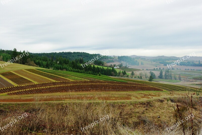 Farm Farmland Nature Outside Scenery