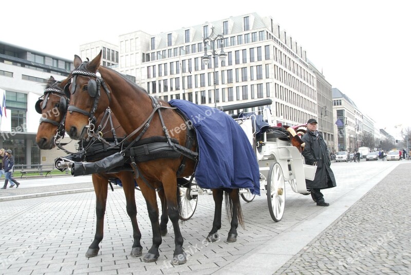 Horses Carrozza Romantic Berlin Walk