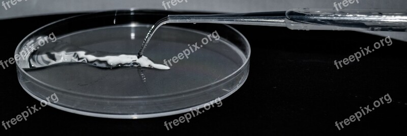 Water Pipette Ray Drip Free Photos