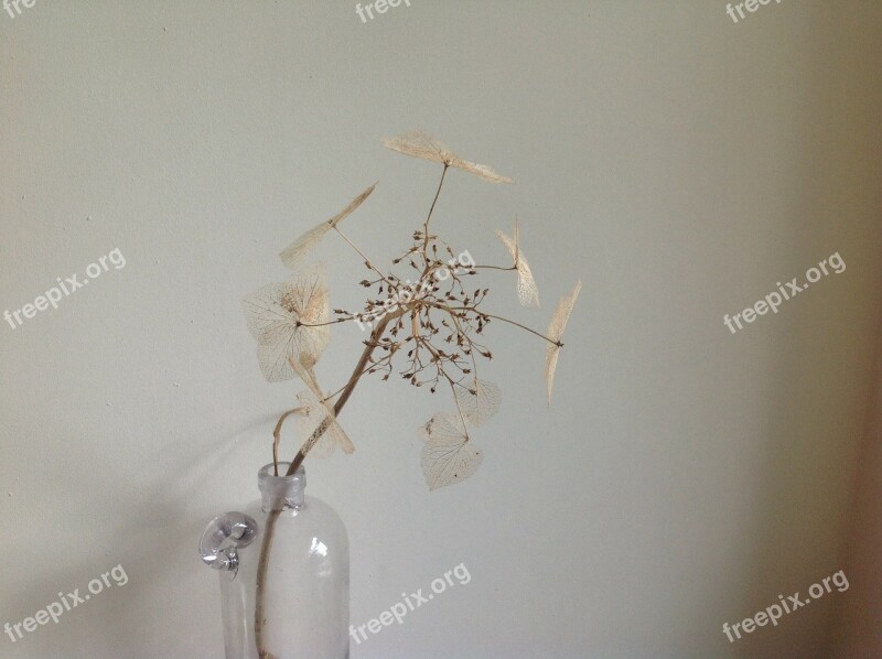 Dry Flower Vase Flower Branch Art