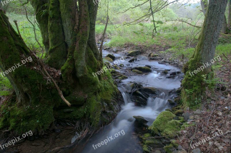 Bach Blurry Long Exposure Forest Natuschutzgebiet