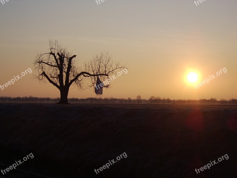 Tree Pollution Pruning Padan Plain Without Trees Free Photos