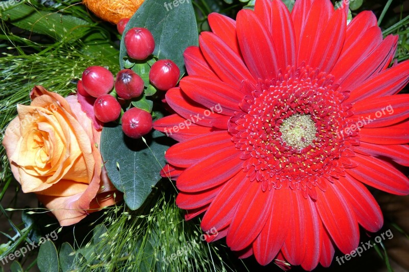 Flowers Gerbera Rose St John's Wort Hypericum