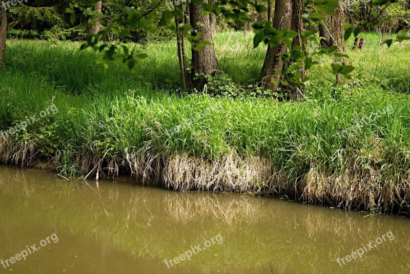 Joist Reflection Southern Bohemia Trough