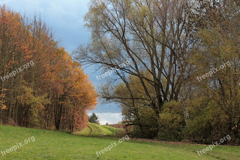 Forest Autumn Away Path Trail