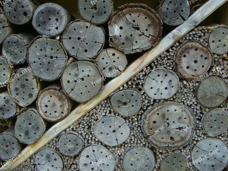 Insect Hotel Nesting Help Drill Holes Entry Openings Tree Grates