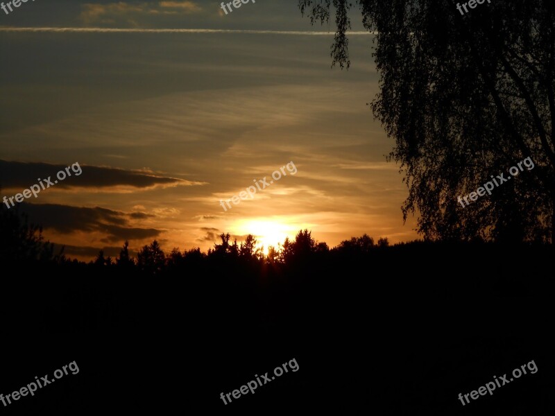 Sunset Tree Horizon Sky Light