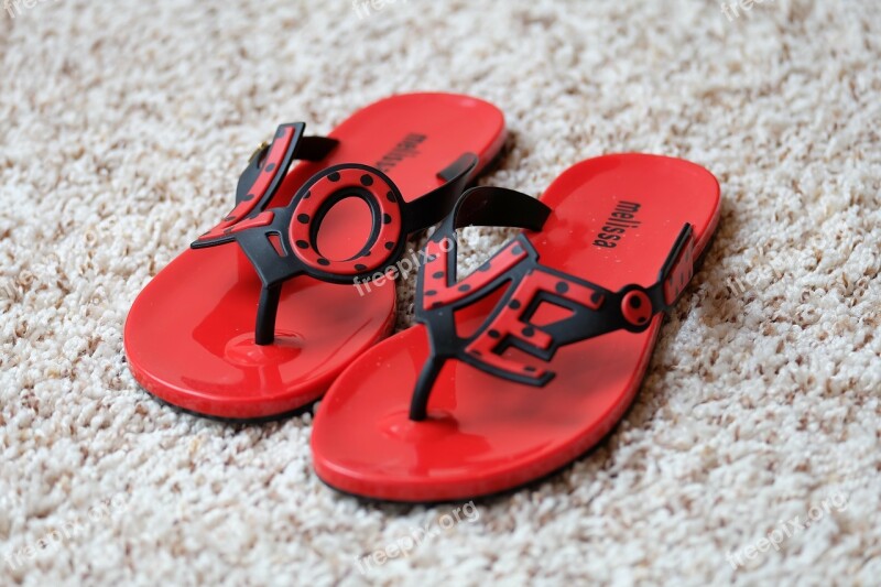 Sandals Flip Flops Footwear Beach Wear Beach Shoes