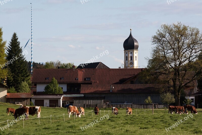 Church Onion Dome Baroque Upper Bavaria Rural