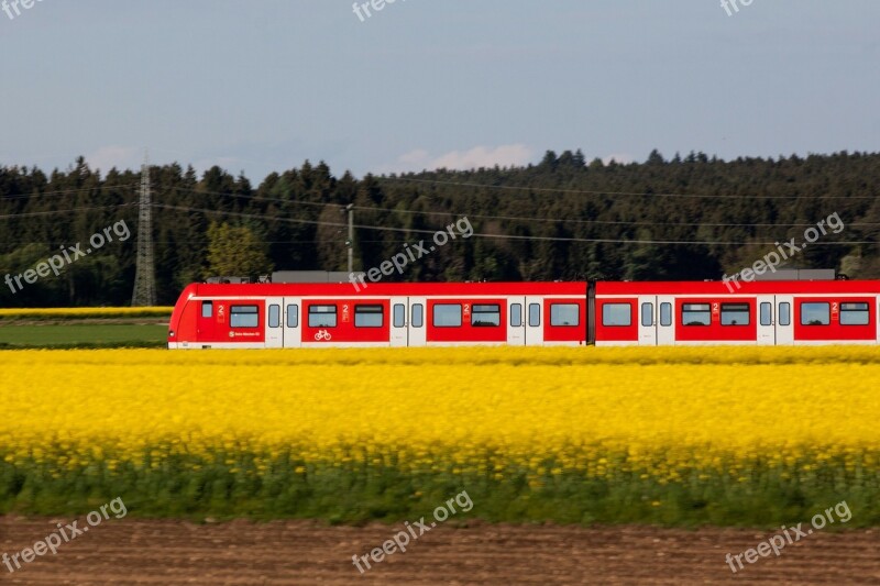 Traffic Transport S Bahn Red Train