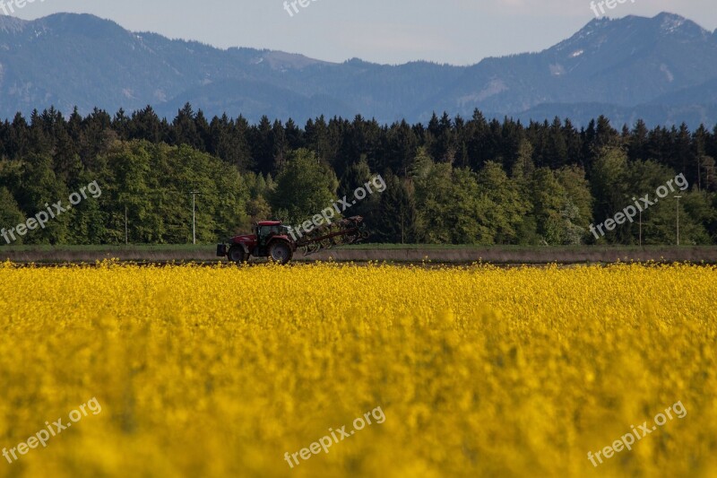 Oilseed Rape Agricultural Operation Yellow Field Harvest