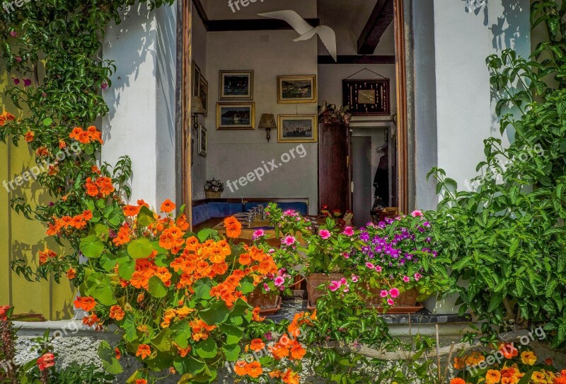 Cinque Terre Italy Flowers Buildings Architecture