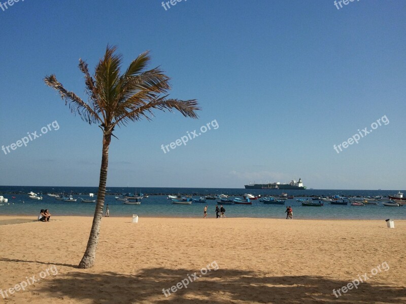 Beach Canary Islands Playa Beautiful Beach Sandy Beach