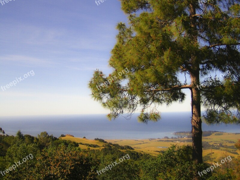 Monterrey Coastline California Usa Summer