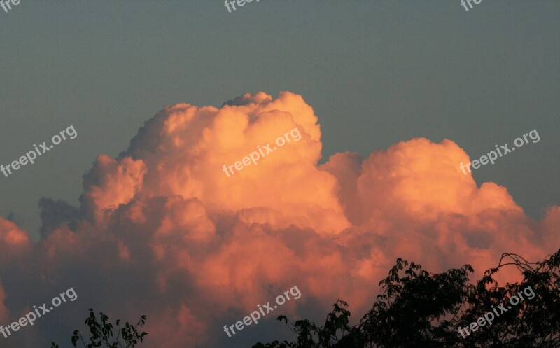 Cumulus Cloud Cloud Pink Large Majestic