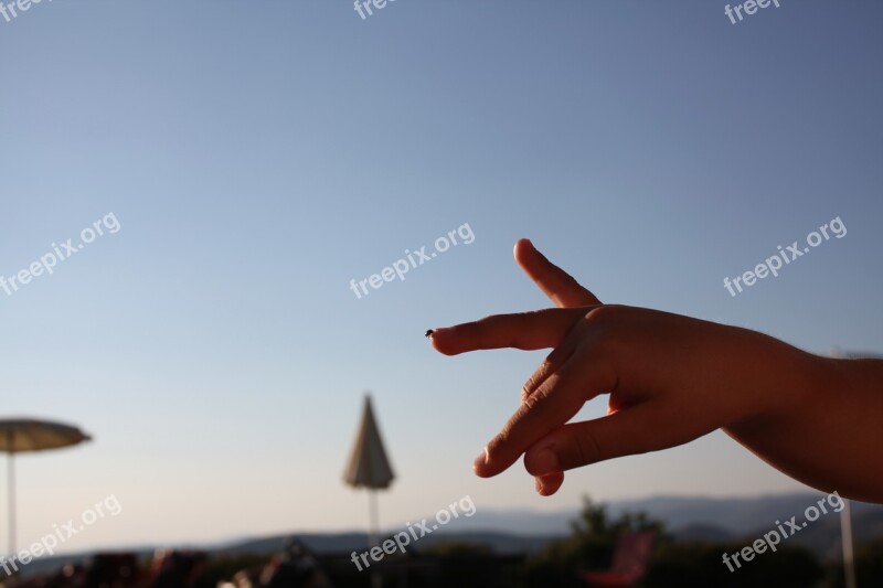 Ladybug Fingers Hand Free Photos