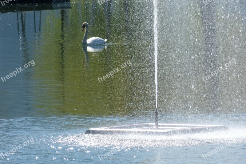 Water Games Fountain Swan Inject Water