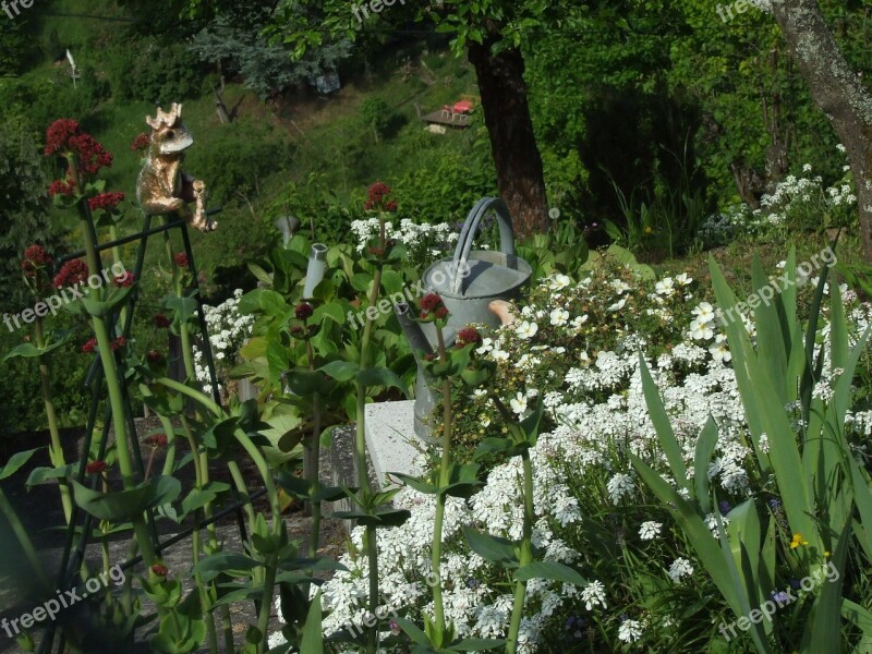 Watering Can Garden Spring Flowers Flower Bed