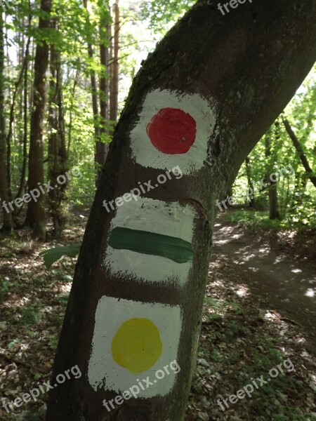 Hiking Trails Signpost Mark Waymarks Forest