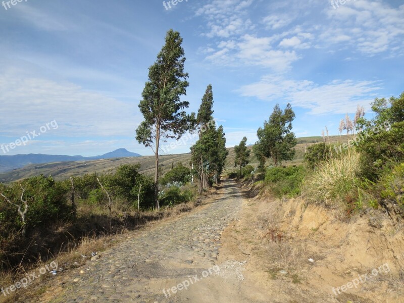 Field Path Gravel Path Landscape Nature