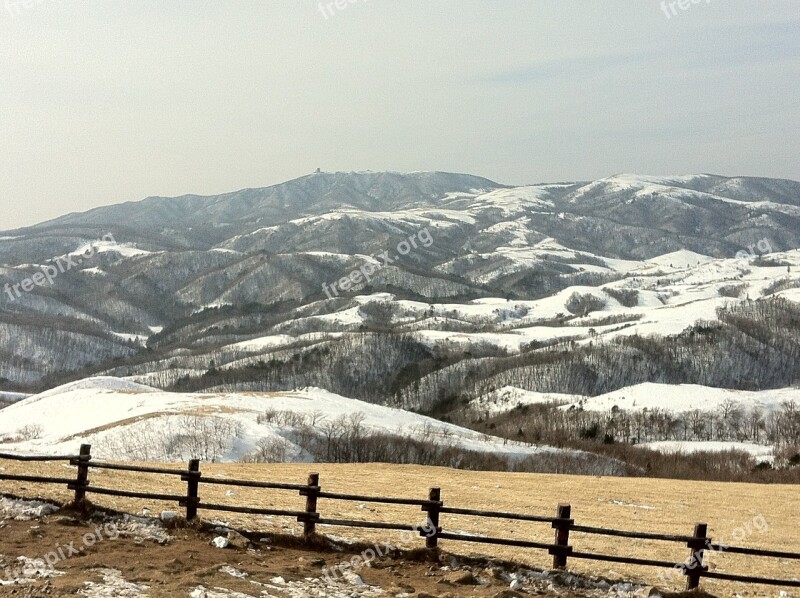 Samyang Ranch Gangwon Do Snow Winter Free Photos