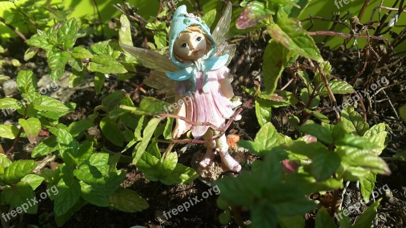 Fairy Fairy Tale Fantasy Doll Girl