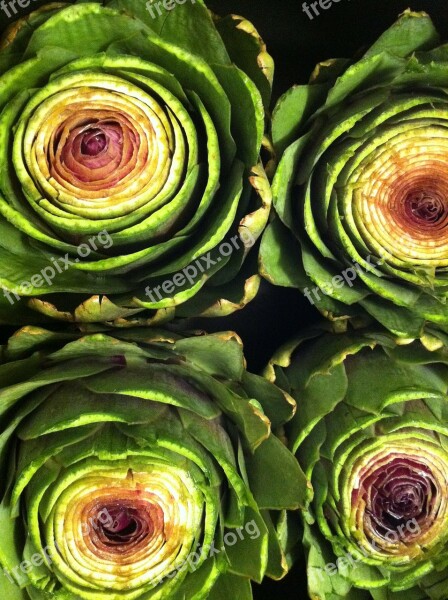 Artichoke Food Plant Veggies Artichoke Flower