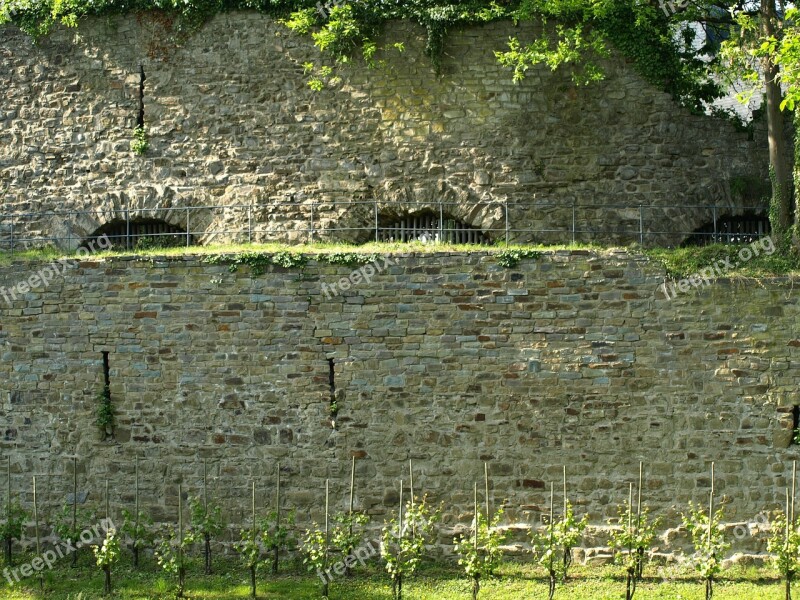 Castle Wall Vineyard City Blankenberg Historically Middle Ages