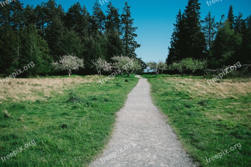 Walkway Hiking Trail Trail Pathway Field Path