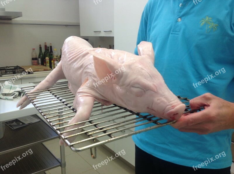 Piglet Pig Animals Food Meat