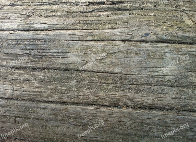 Wood Texture Wooden Log Bark