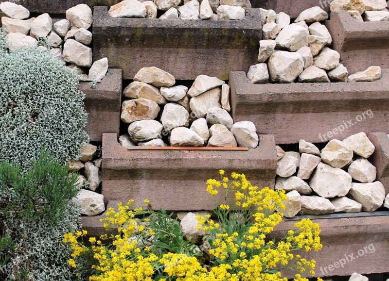 Wall Rubble Wall Stone Wall Plant Fouling