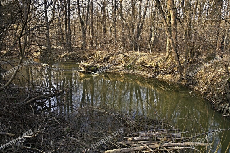 Joist Staříč Borovany River At The Mill