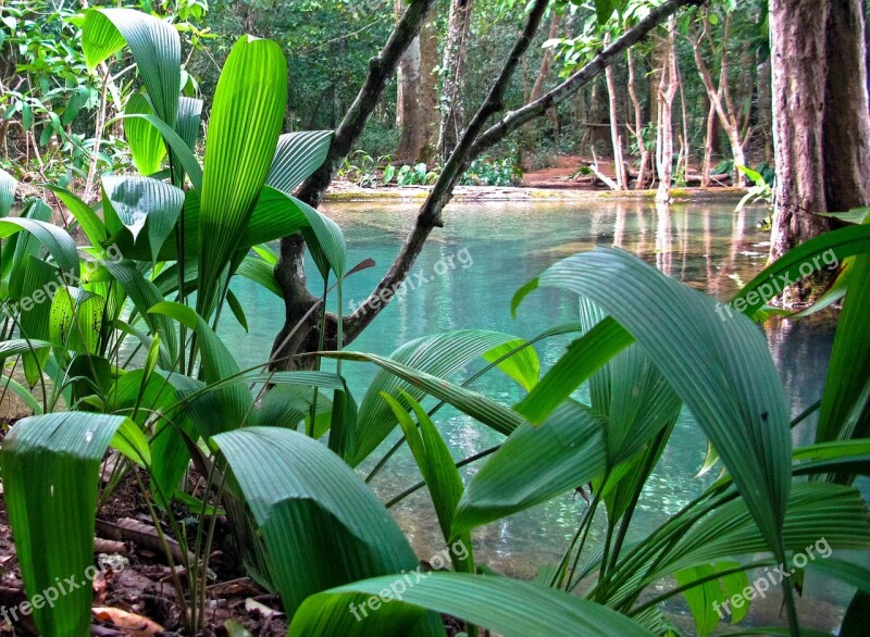 Jungle Laos Luang Prabang Tad Kuang Xi Water