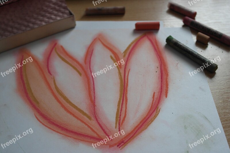 Drawing Flower Pastels Inspiration Free Photos