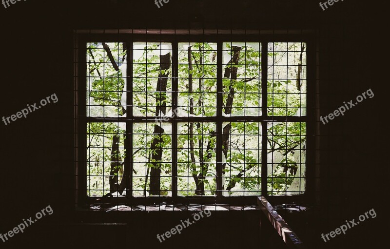 Window Iron Bars Prison Grill Dark Room