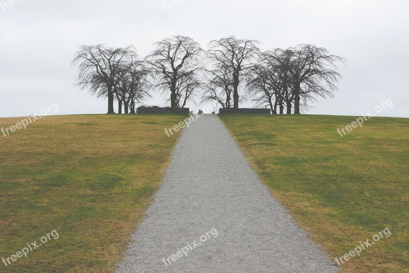 Path Way Trees Foggy Misty