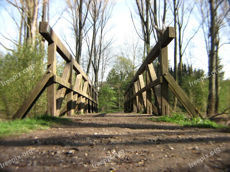 Bridge Forest Forest Path Nature On The Go