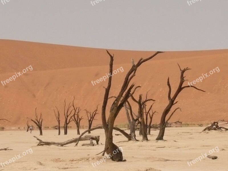 Deadvlei Sahara Dead Vlei Namibia Drought