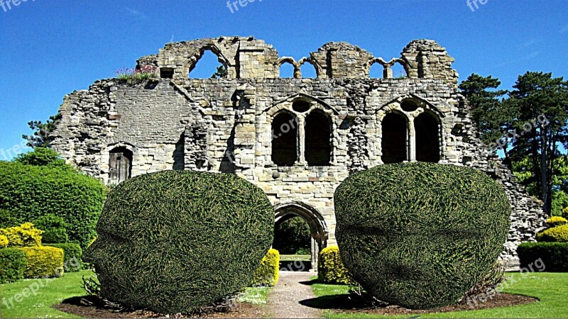 Wenlock Ruin Garden Size Boxwood