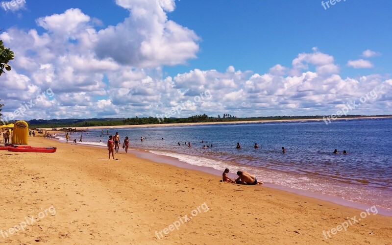 Beach Shell Itacaré Bahia Brazil Beira Mar