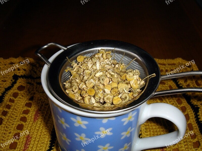 Chamomile Chamomile Blossoms Chamomile Tea Healthy Medicinal Herbs