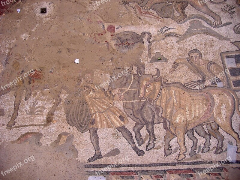 Mosaic Piazza Armerina Sicily Enna Restoration Artwork