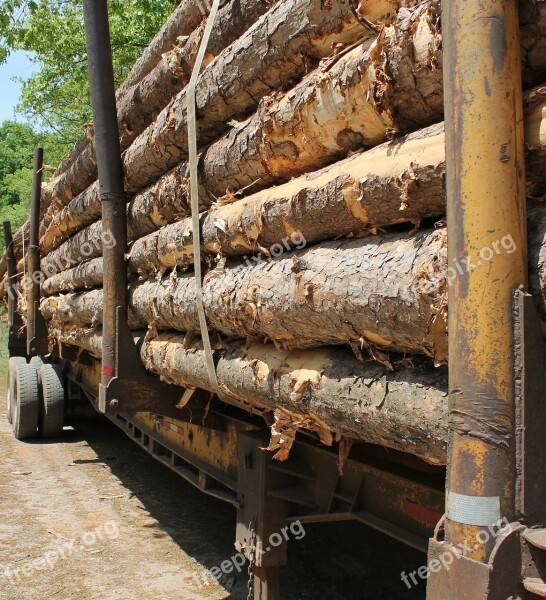 Lumber Trailer Wood Tree Trunk